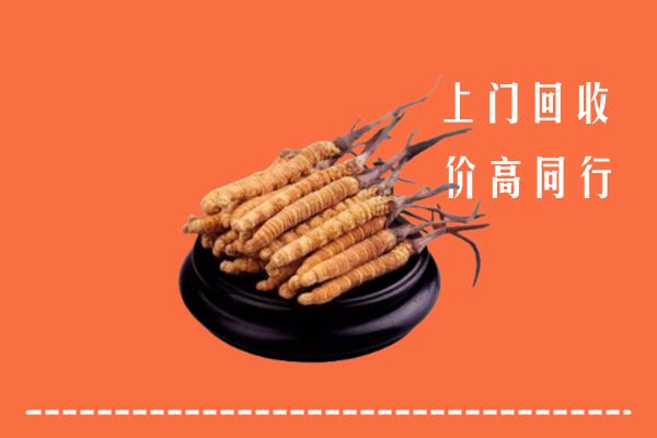 淮南高价冬虫夏草回收多少钱每克