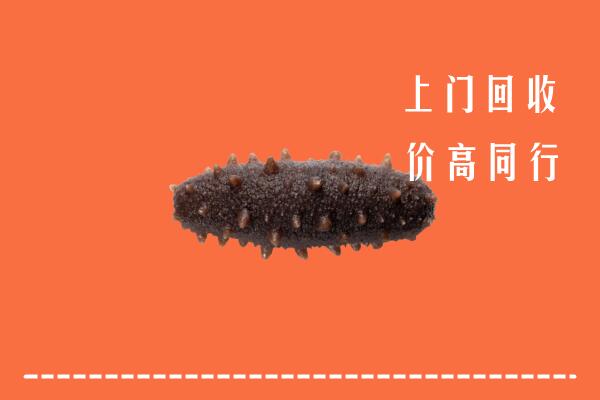 淮南高价回收海参