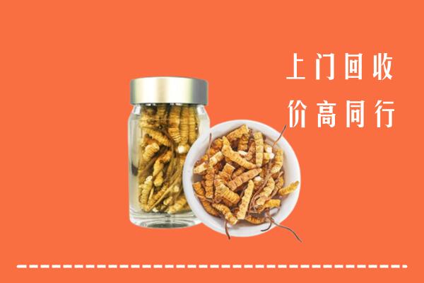 附近收购：淮南回收冬虫夏草